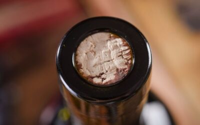 Los secretos detrás de la elaboración del vino tinto